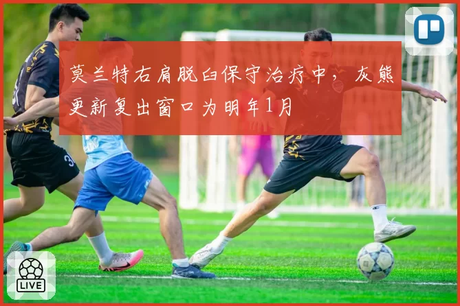 莫兰特右肩脱臼保守治疗中,灰熊更新复出窗口为明年1月