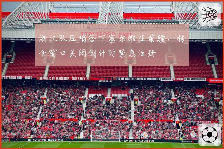 浙江队压哨签下塞尔维亚前腰,转会窗口关闭倒计时紧急注册