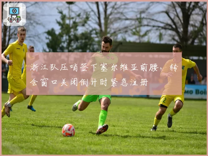 浙江队压哨签下塞尔维亚前腰,转会窗口关闭倒计时紧急注册